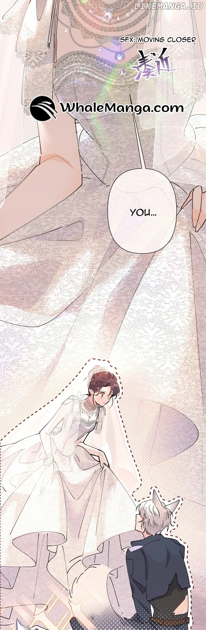 Her Marriage Was Called Off at Daytime, the Cutely Fierce Commander Asked Her For a Hug at Night Chapter 2 page 6
