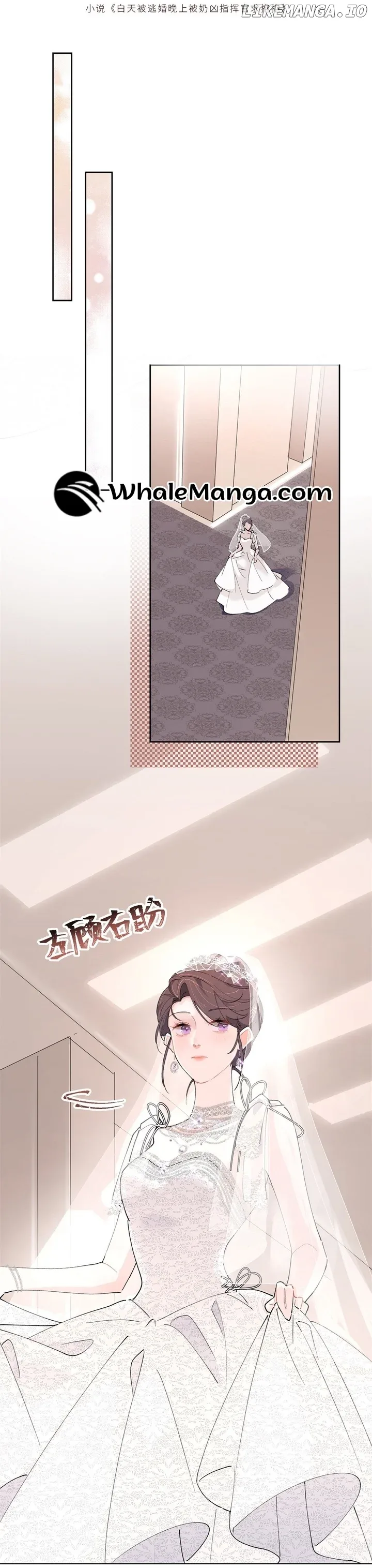 Her Marriage Was Called Off at Daytime, the Cutely Fierce Commander Asked Her For a Hug at Night Chapter 2 page 3