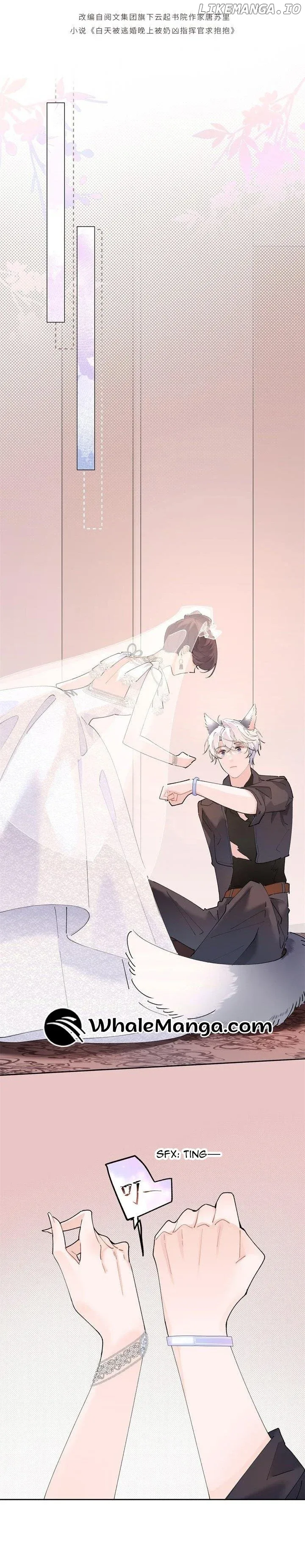 Her Marriage Was Called Off at Daytime, the Cutely Fierce Commander Asked Her For a Hug at Night Chapter 3 page 5
