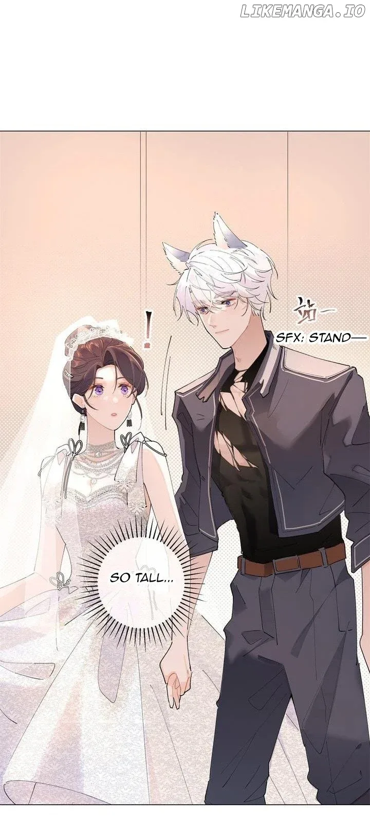 Her Marriage Was Called Off at Daytime, the Cutely Fierce Commander Asked Her For a Hug at Night Chapter 3 page 9