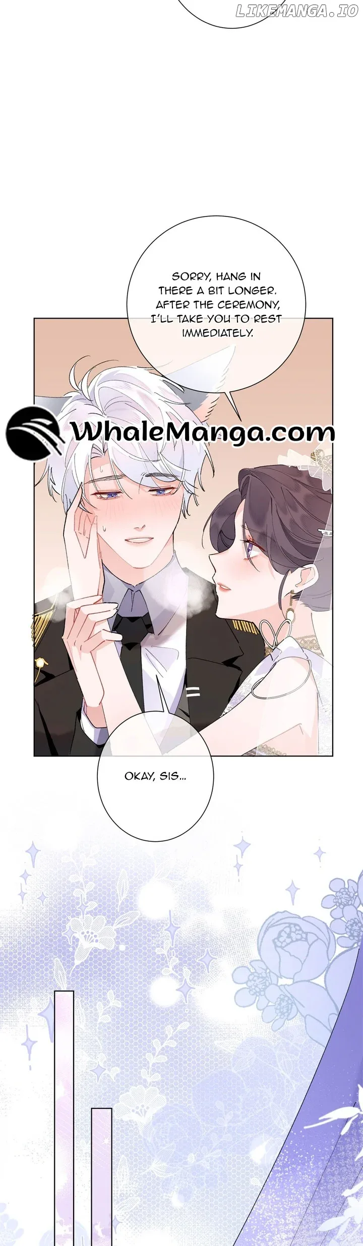 Her Marriage Was Called Off at Daytime, the Cutely Fierce Commander Asked Her For a Hug at Night Chapter 4 page 11