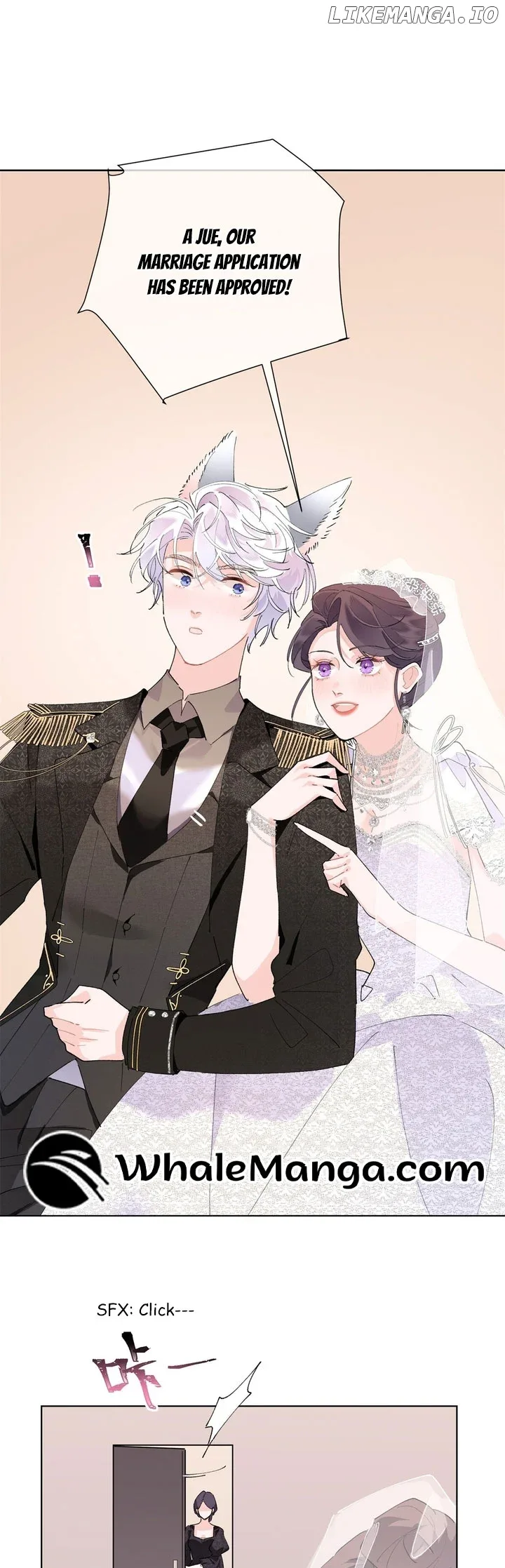 Her Marriage Was Called Off at Daytime, the Cutely Fierce Commander Asked Her For a Hug at Night Chapter 4 page 4