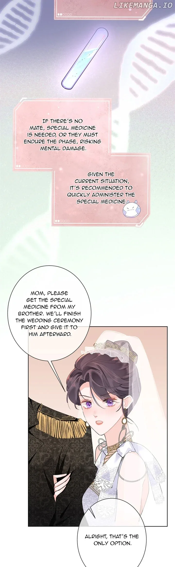 Her Marriage Was Called Off at Daytime, the Cutely Fierce Commander Asked Her For a Hug at Night Chapter 4 page 10