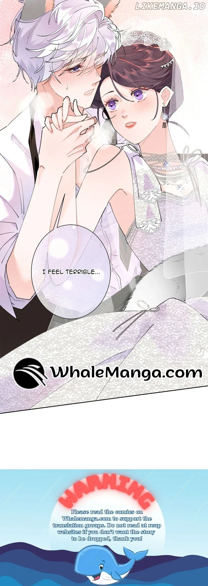 Her Marriage Was Called Off at Daytime, the Cutely Fierce Commander Asked Her For a Hug at Night Chapter 4 page 26