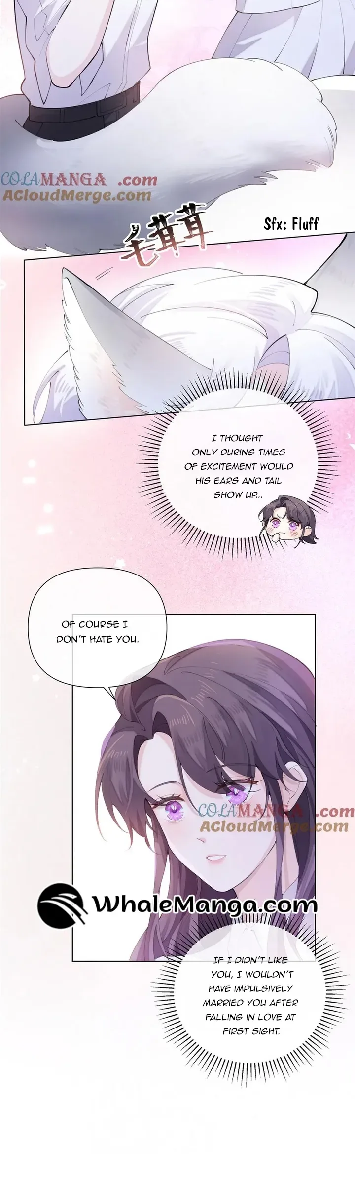 Her Marriage Was Called Off at Daytime, the Cutely Fierce Commander Asked Her For a Hug at Night Chapter 28 page 5