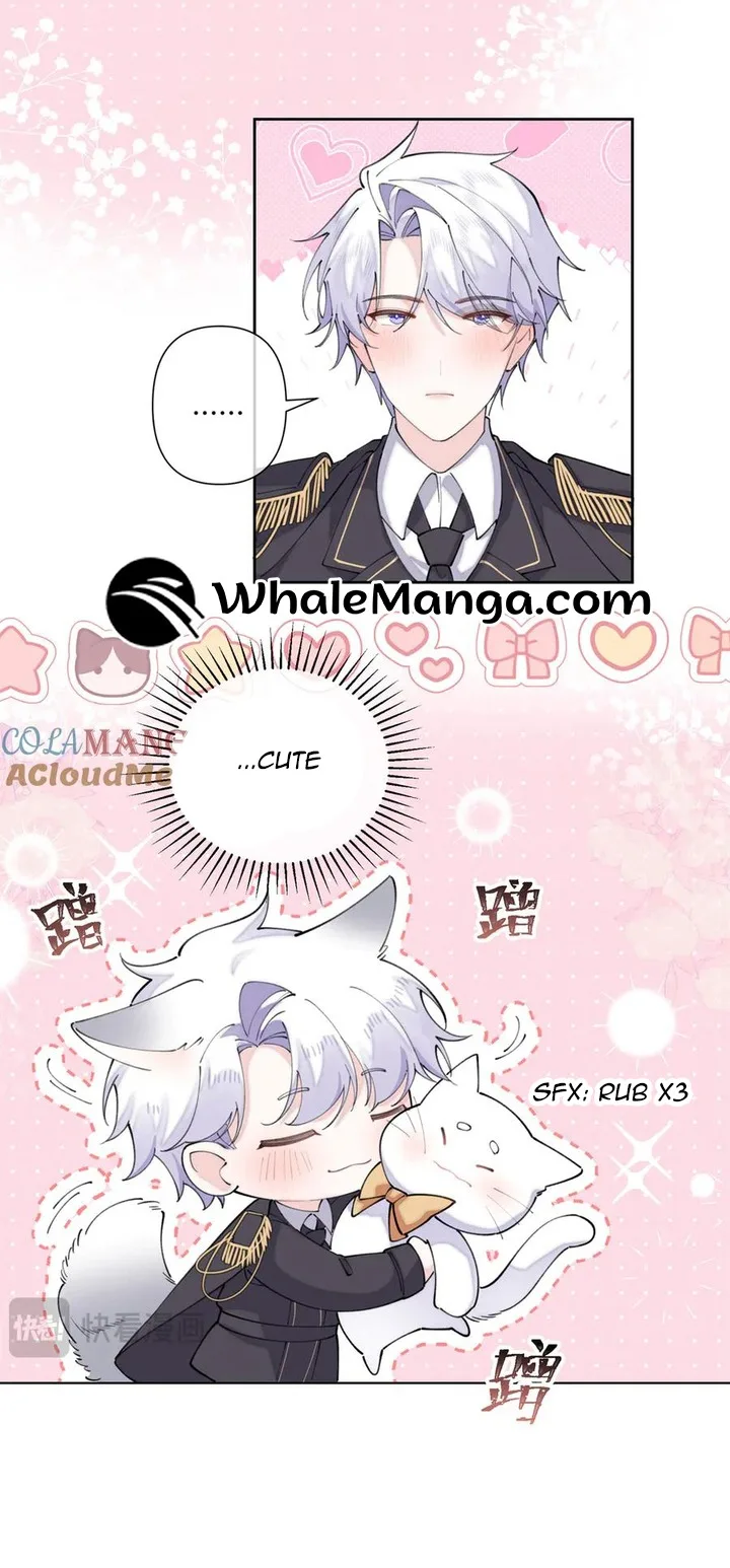 Her Marriage Was Called Off at Daytime, the Cutely Fierce Commander Asked Her For a Hug at Night Chapter 39 page 10