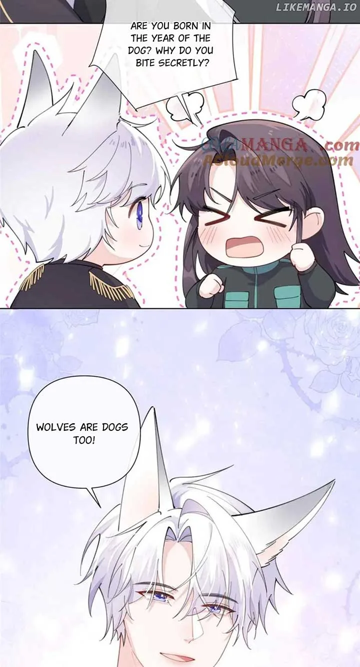 Her Marriage Was Called Off at Daytime, the Cutely Fierce Commander Asked Her For a Hug at Night Chapter 56 page 7