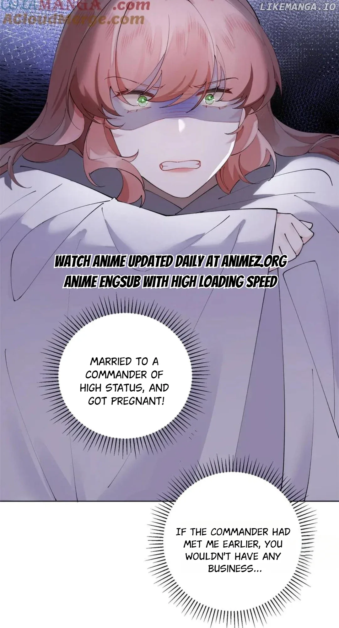 Her Marriage Was Called Off at Daytime, the Cutely Fierce Commander Asked Her For a Hug at Night Chapter 65 page 13
