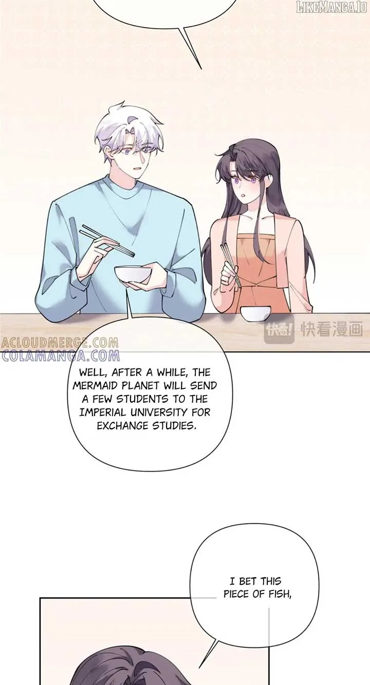 Her Marriage Was Called Off at Daytime, the Cutely Fierce Commander Asked Her For a Hug at Night Chapter 106 page 7