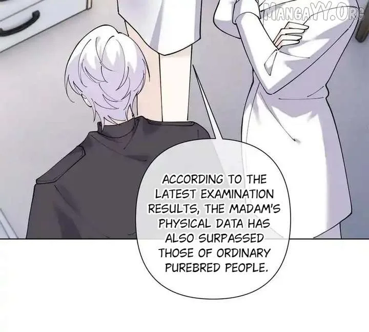 Her Marriage Was Called Off at Daytime, the Cutely Fierce Commander Asked Her For a Hug at Night Chapter 141 page 62