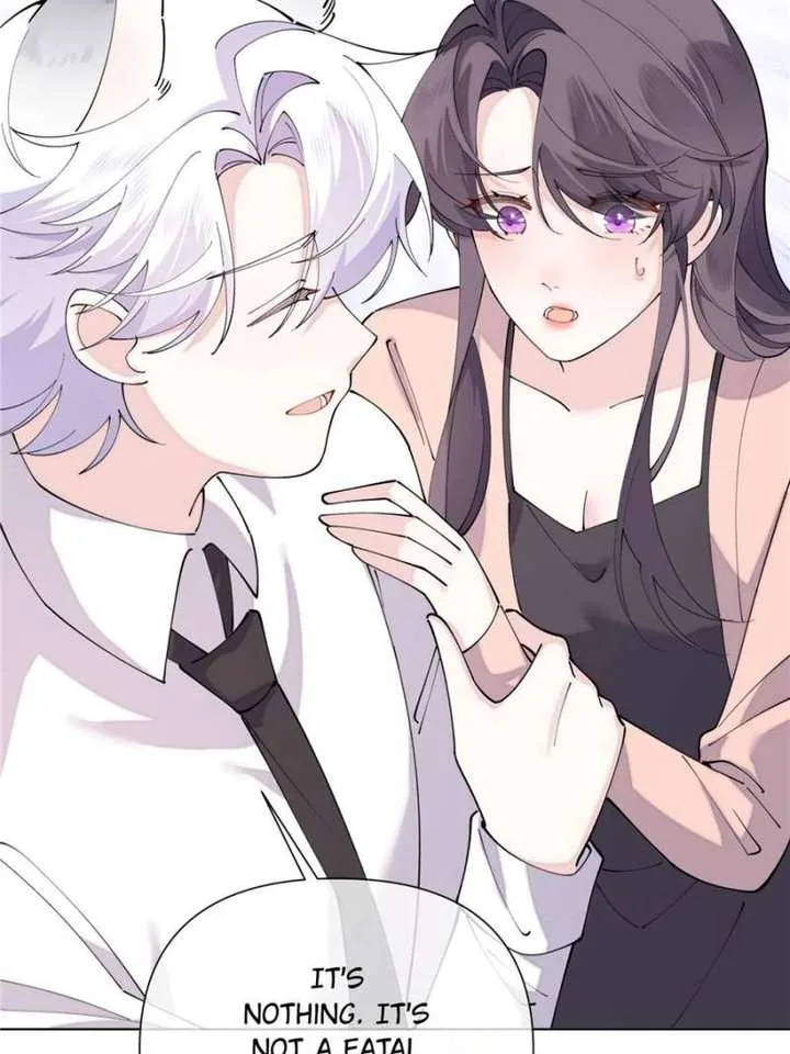 Her Marriage Was Called Off at Daytime, the Cutely Fierce Commander Asked Her For a Hug at Night Chapter 152 page 12