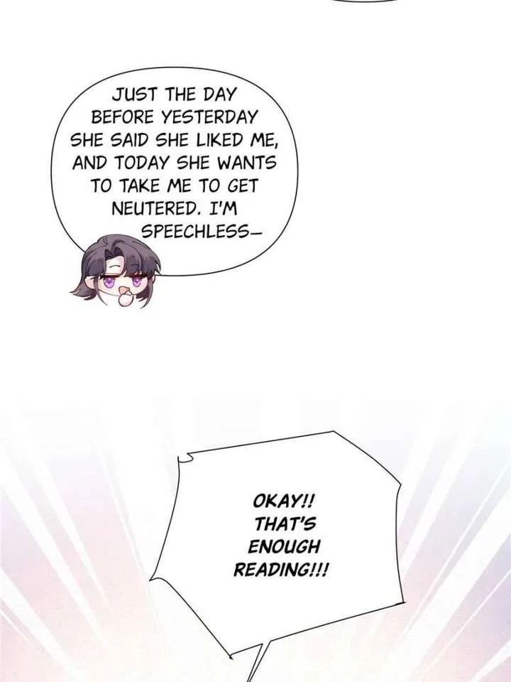 Her Marriage Was Called Off at Daytime, the Cutely Fierce Commander Asked Her For a Hug at Night Chapter 152 page 5