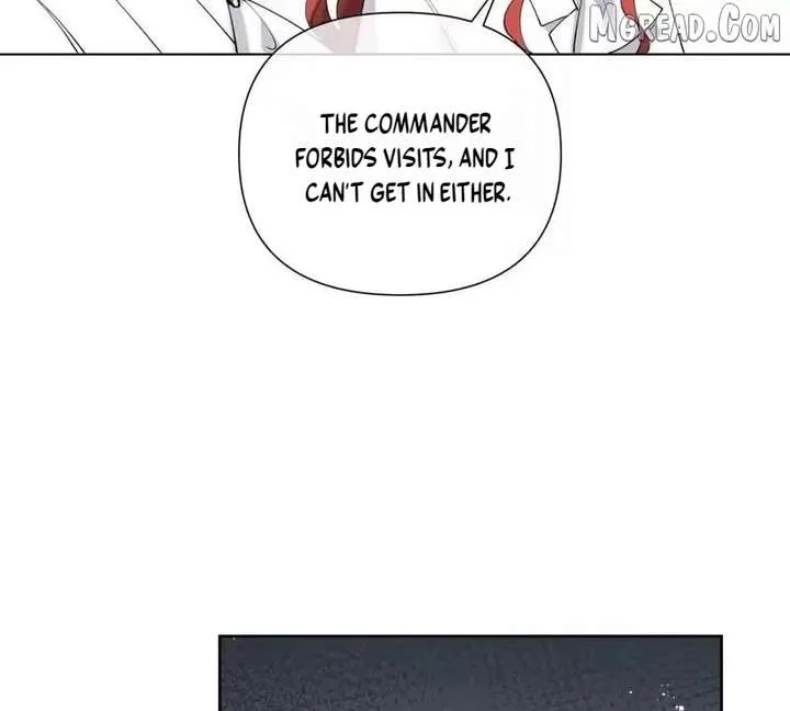 Her Marriage Was Called Off at Daytime, the Cutely Fierce Commander Asked Her For a Hug at Night Chapter 173 page 21