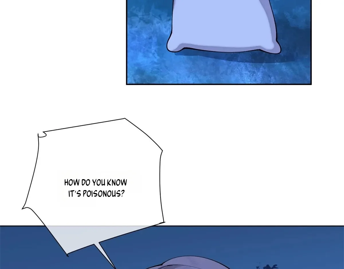 Her Marriage Was Called Off at Daytime, the Cutely Fierce Commander Asked Her For a Hug at Night Chapter 203 page 61