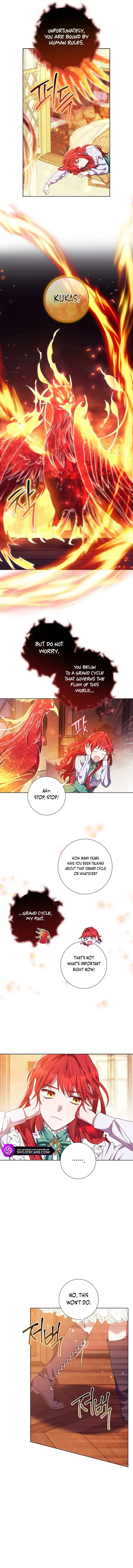 How Can There be a Divorce When We Haven’t Even Married, Your Majesty? Chapter 1 page 11