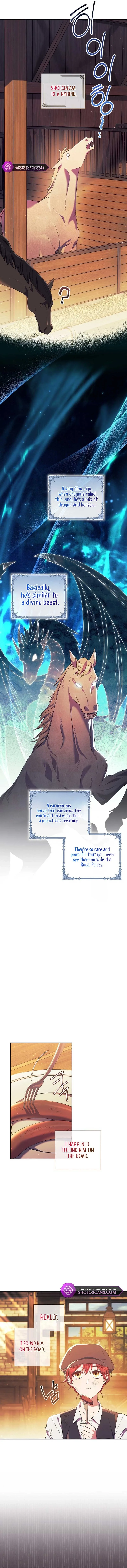 How Can There be a Divorce When We Haven’t Even Married, Your Majesty? Chapter 2 page 5