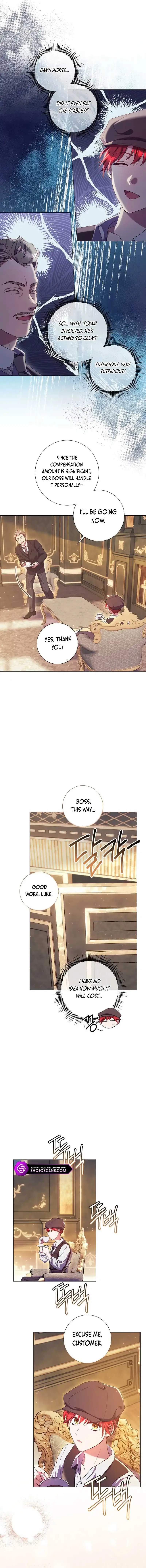 How Can There be a Divorce When We Haven’t Even Married, Your Majesty? Chapter 6 page 8