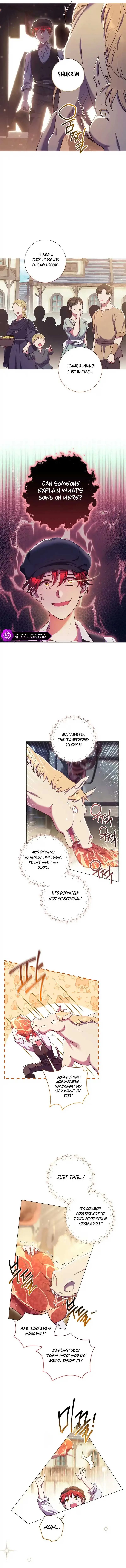 How Can There be a Divorce When We Haven’t Even Married, Your Majesty? Chapter 6 page 4