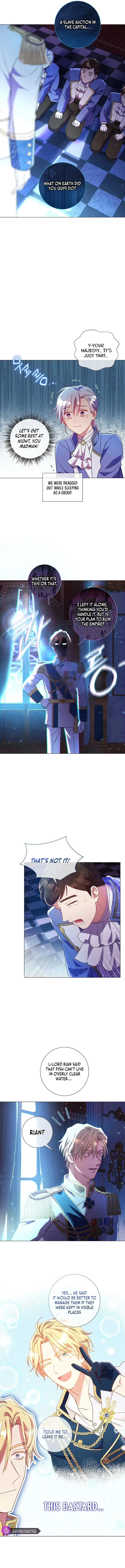 How Can There be a Divorce When We Haven’t Even Married, Your Majesty? Chapter 11 page 12
