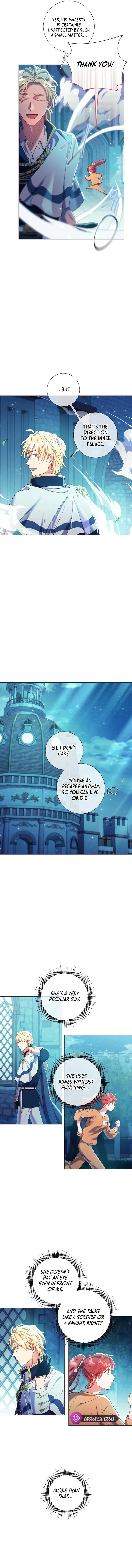 How Can There be a Divorce When We Haven’t Even Married, Your Majesty? Chapter 14 page 12