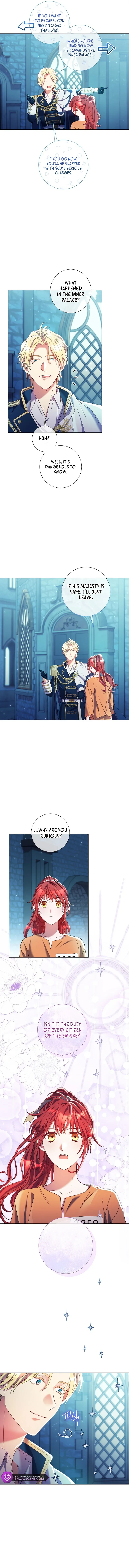 How Can There be a Divorce When We Haven’t Even Married, Your Majesty? Chapter 14 page 11