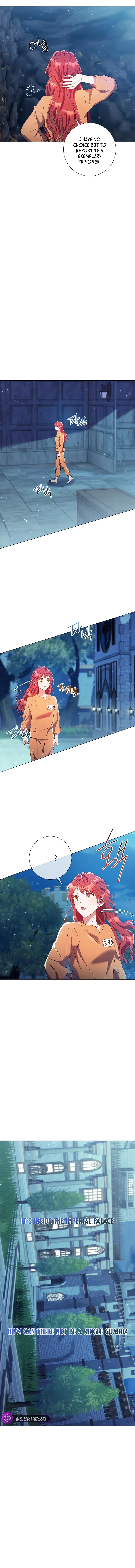 How Can There be a Divorce When We Haven’t Even Married, Your Majesty? Chapter 13 page 7