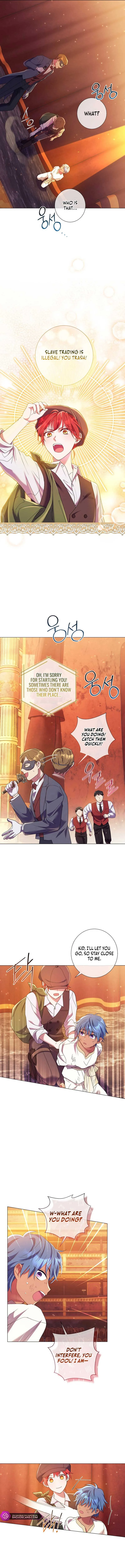 How Can There be a Divorce When We Haven’t Even Married, Your Majesty? Chapter 10 page 12