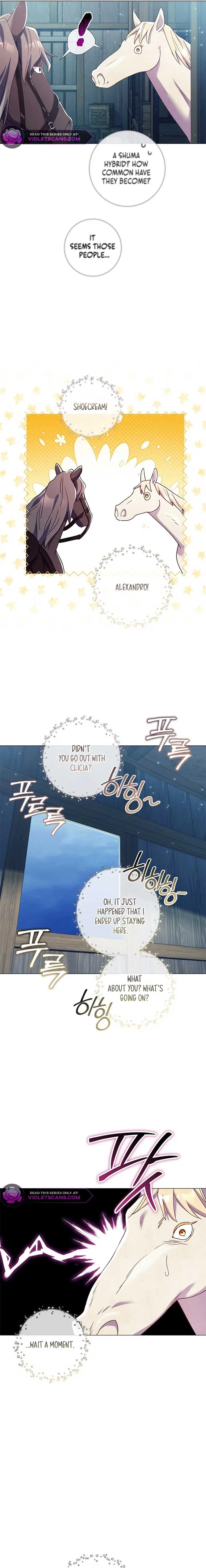 How Can There be a Divorce When We Haven’t Even Married, Your Majesty? Chapter 24 page 11