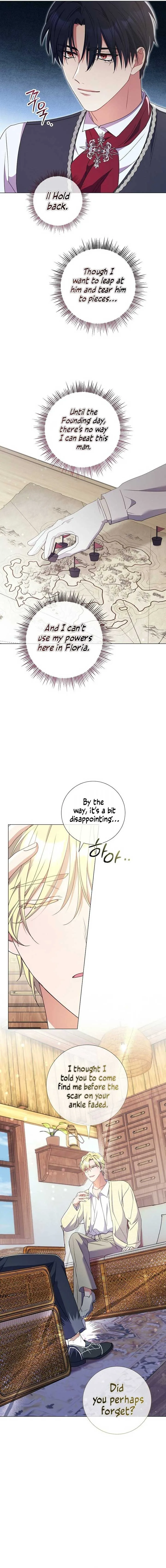 How Can There be a Divorce When We Haven’t Even Married, Your Majesty? Chapter 28 page 13