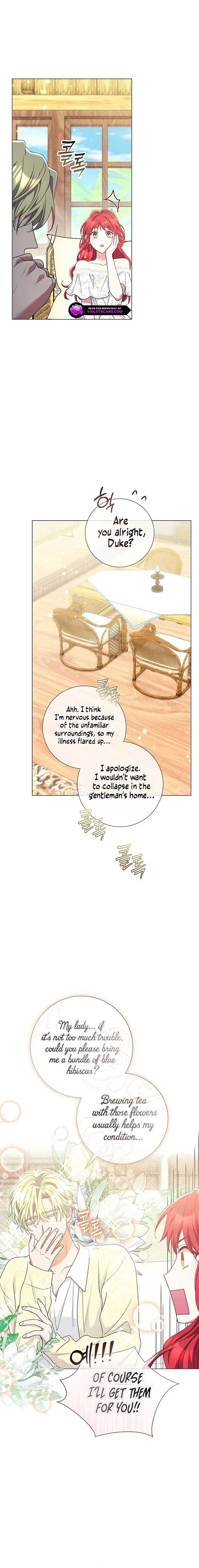 How Can There be a Divorce When We Haven’t Even Married, Your Majesty? Chapter 28 page 11