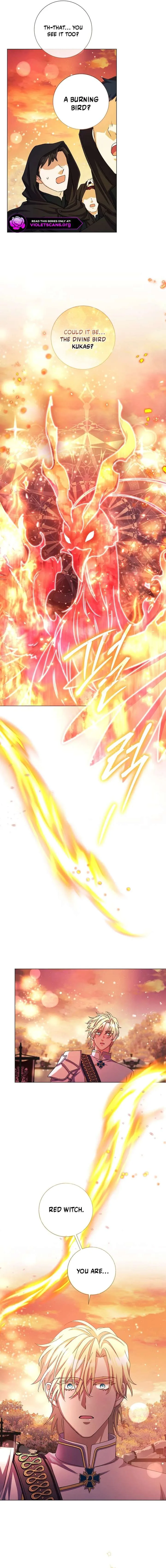 How Can There be a Divorce When We Haven’t Even Married, Your Majesty? Chapter 79 page 6