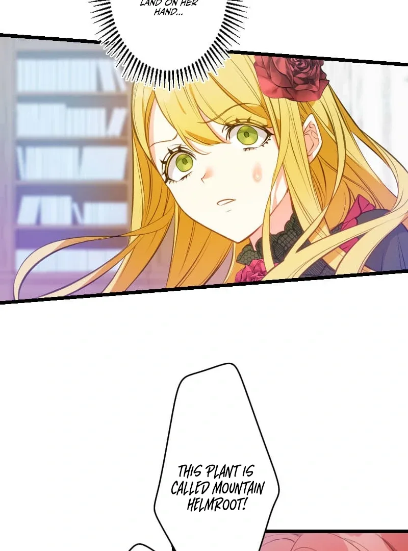 How to be Doted Again by the Cold-Hearted Grand Duke Chapter 11 page 77