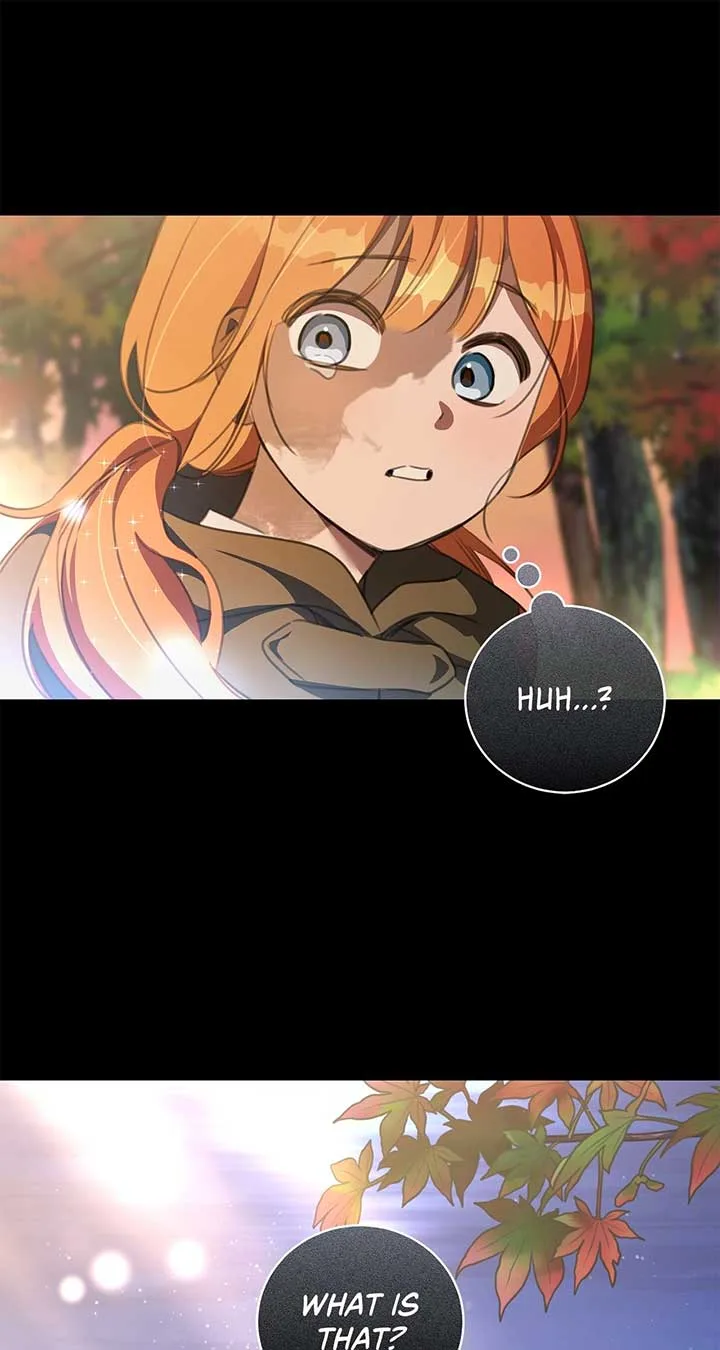 How to Choose Your Knight Chapter 15 page 63