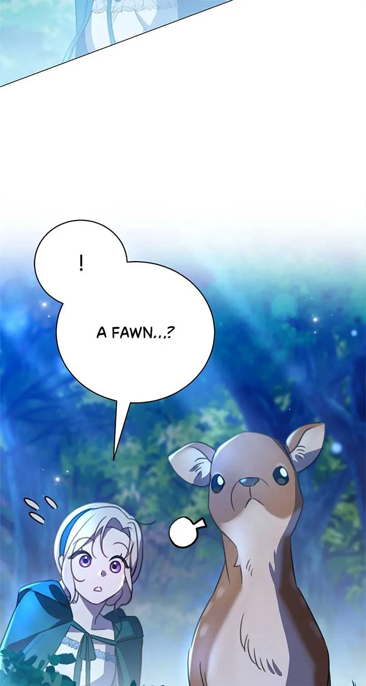 How to Choose Your Knight Chapter 28 page 61