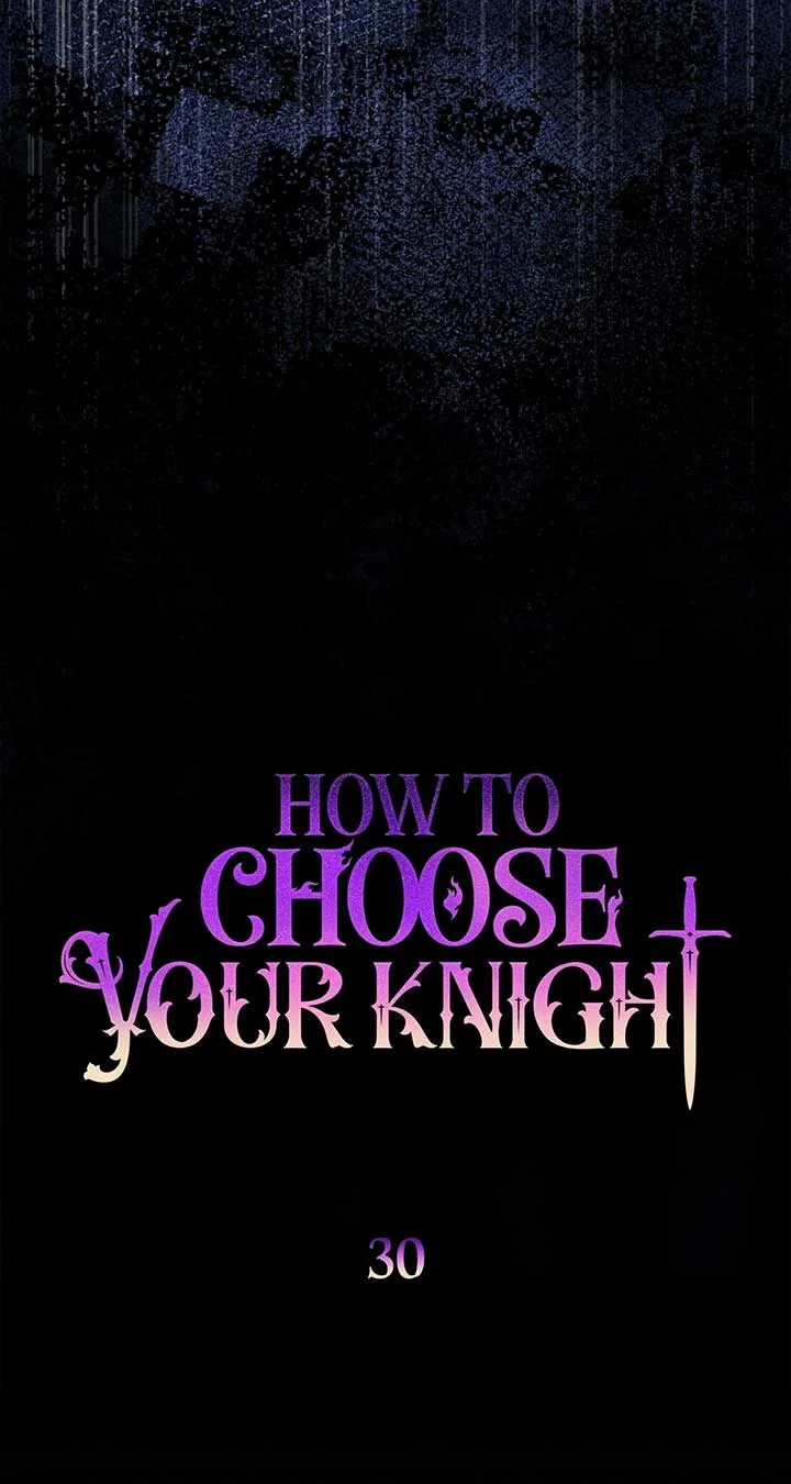 How to Choose Your Knight Chapter 30 page 23