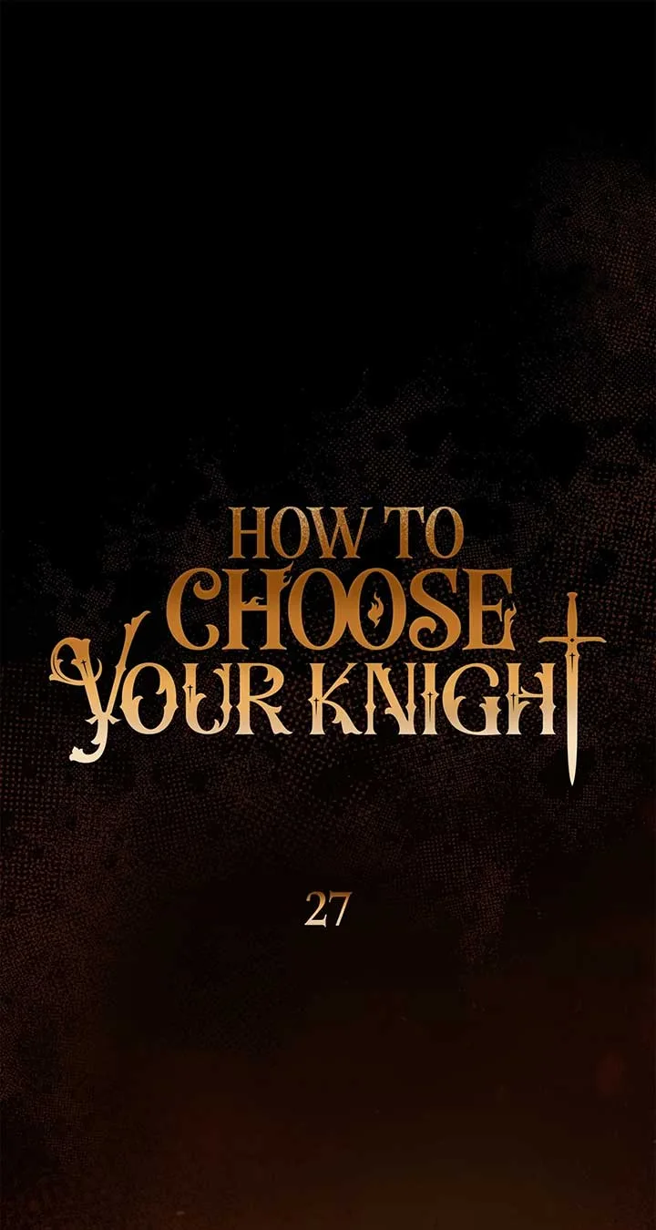 How to Choose Your Knight Chapter 27 page 53