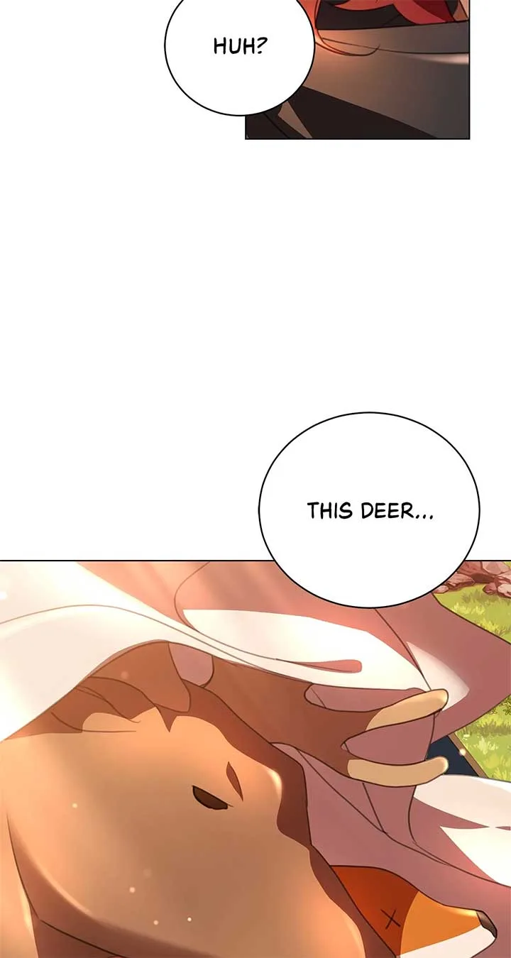 How to Choose Your Knight Chapter 34 page 104