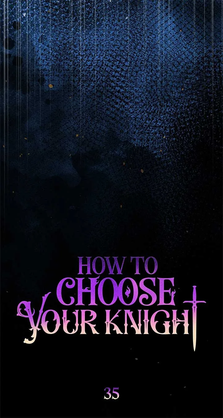 How to Choose Your Knight Chapter 35 page 43