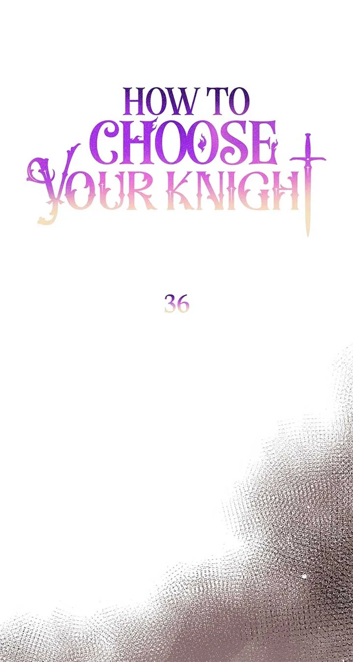 How to Choose Your Knight Chapter 36 page 35