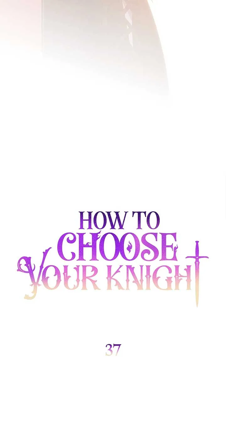 How to Choose Your Knight Chapter 37 page 32