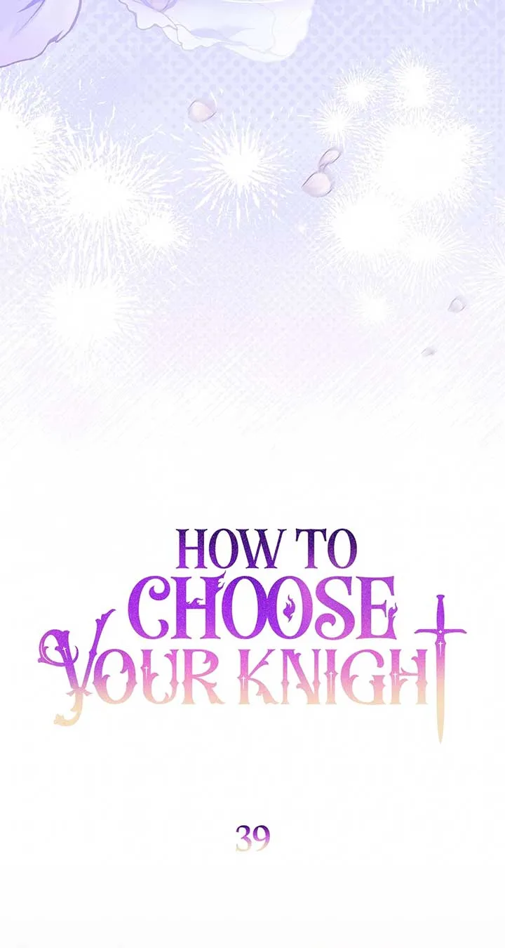 How to Choose Your Knight Chapter 39 page 41