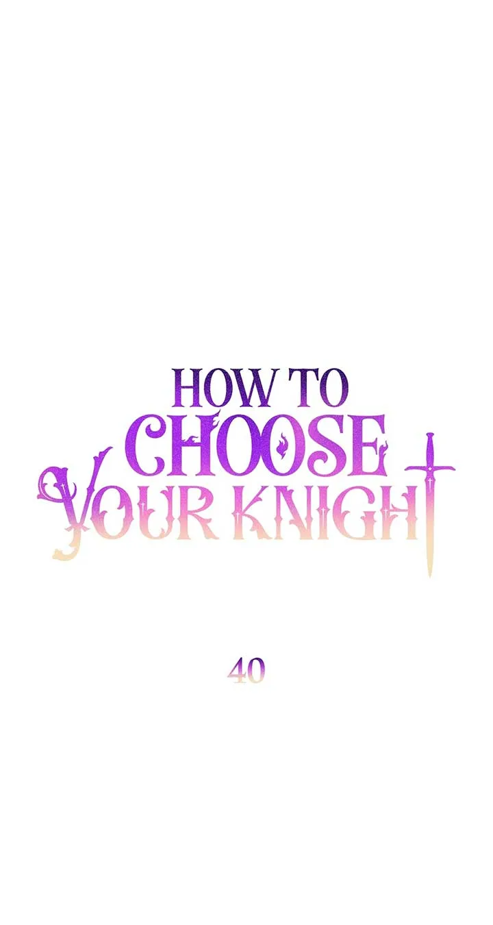 How to Choose Your Knight Chapter 40 page 40