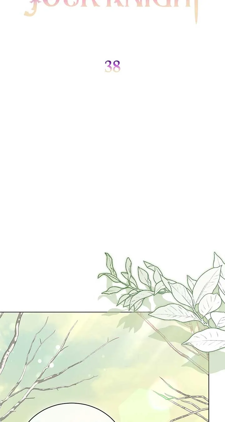 How to Choose Your Knight Chapter 38 page 45