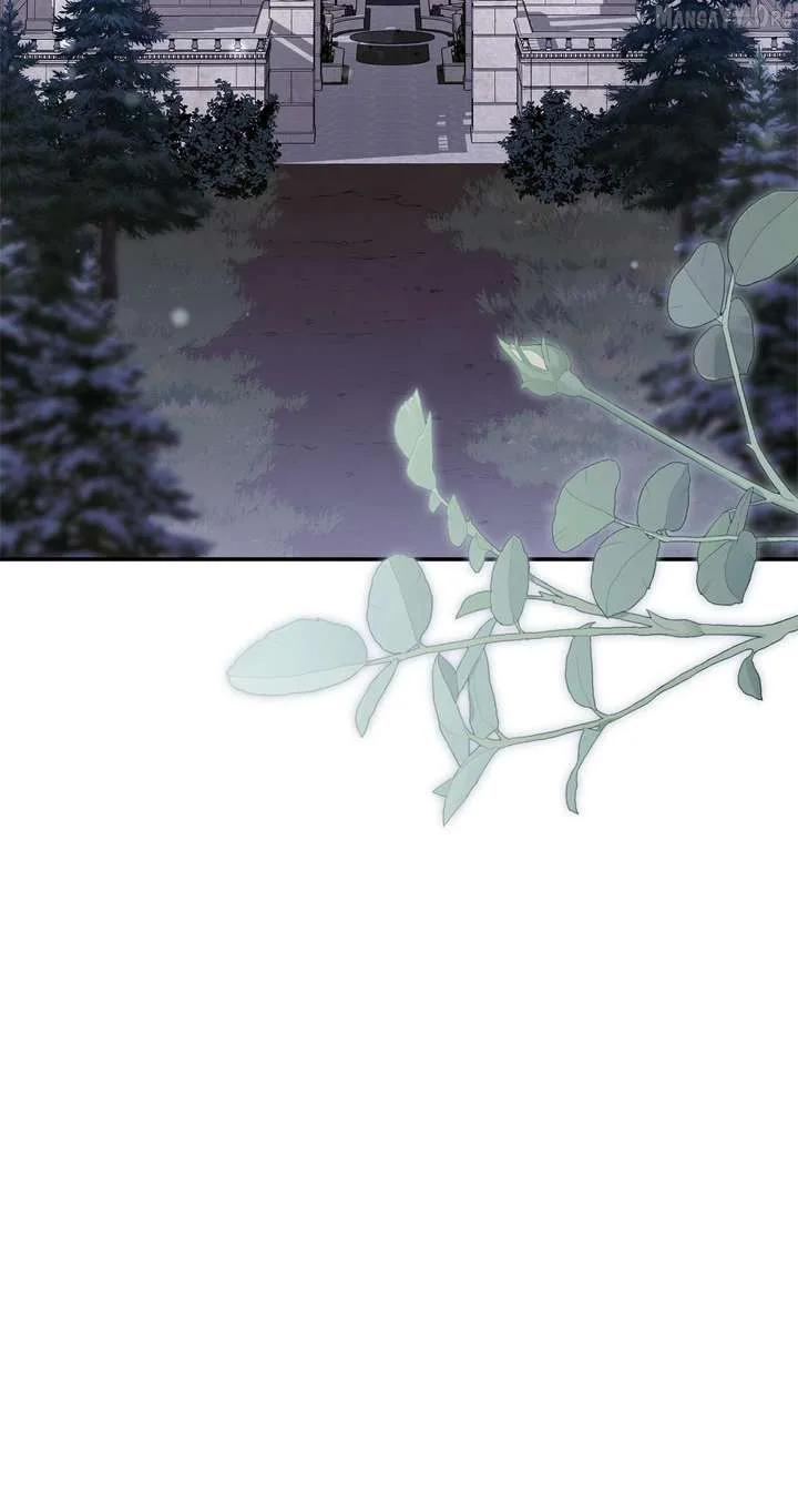 How to Choose Your Knight Chapter 66 page 3