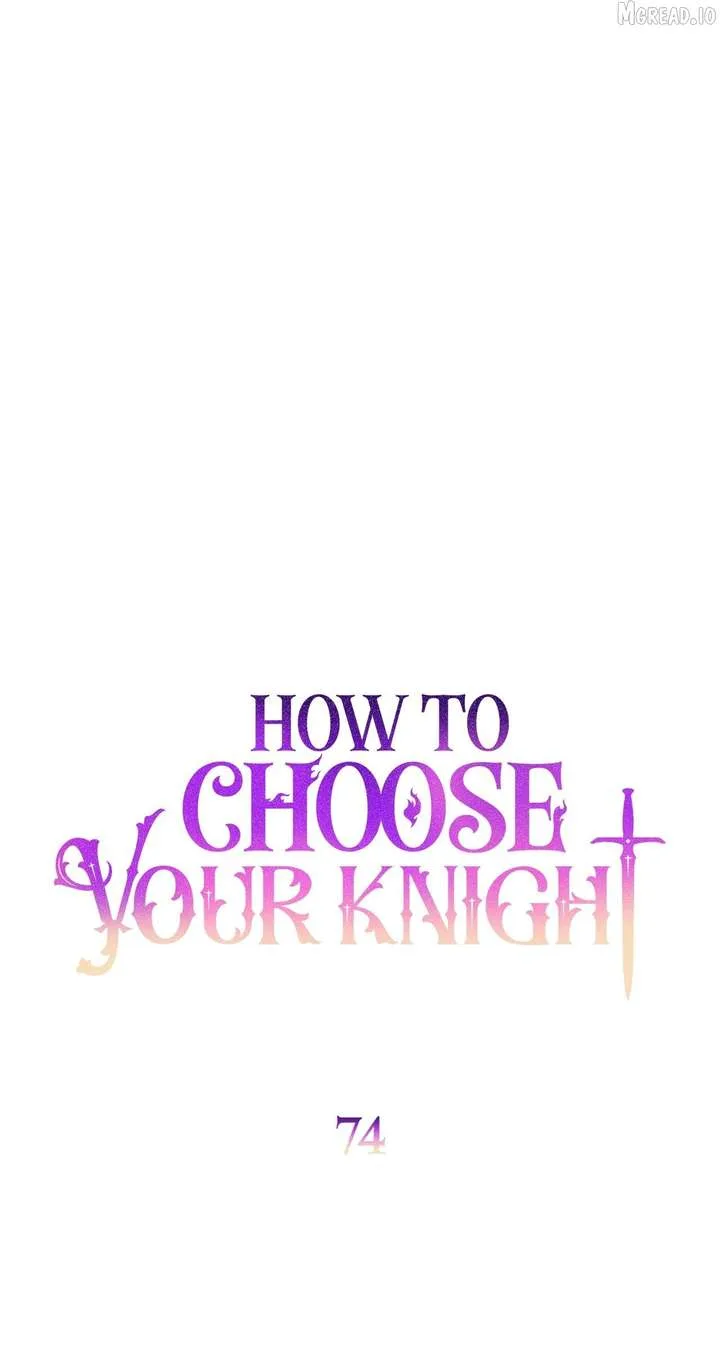 How to Choose Your Knight Chapter 74 page 14