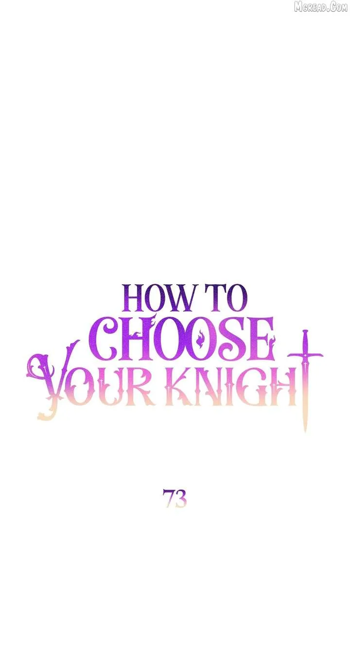 How to Choose Your Knight Chapter 73 page 16