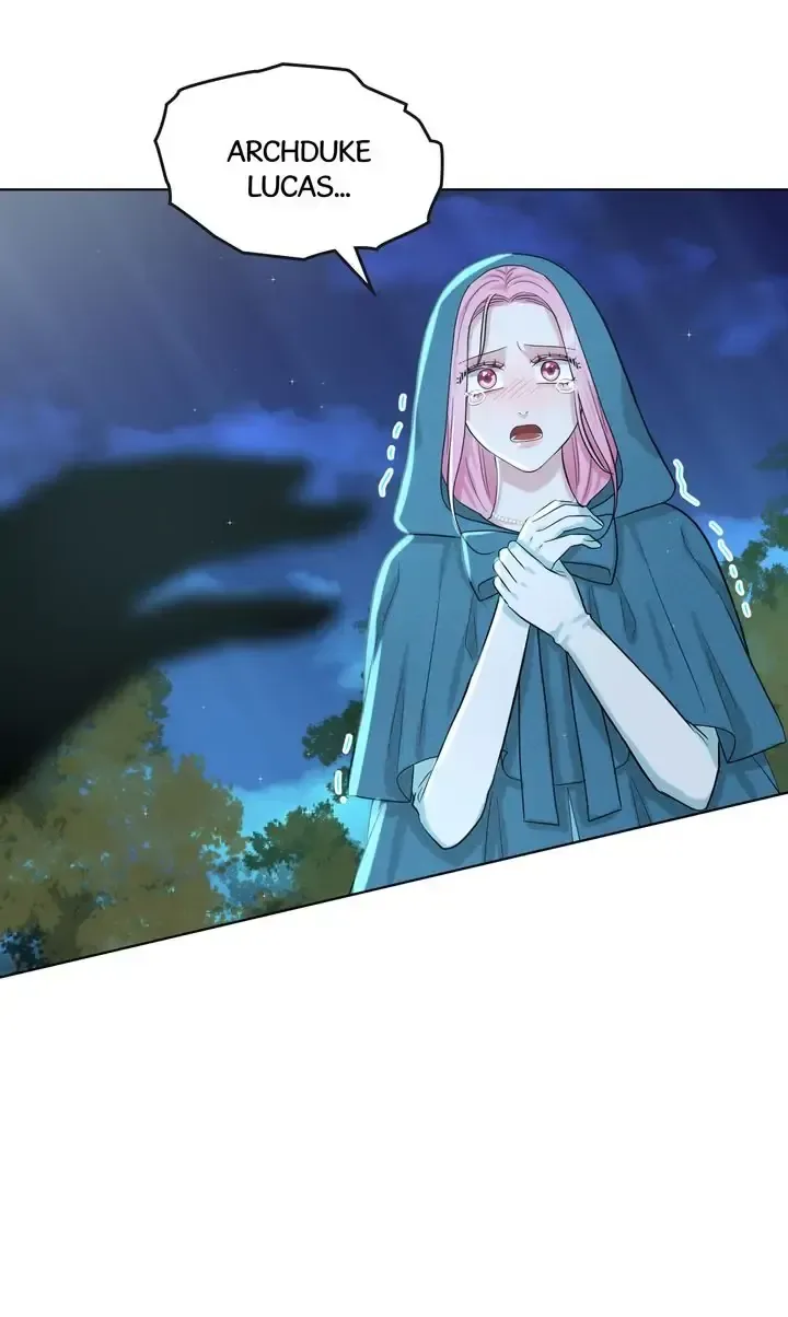 How to Get Rid of My Dark Past Chapter 47 page 44