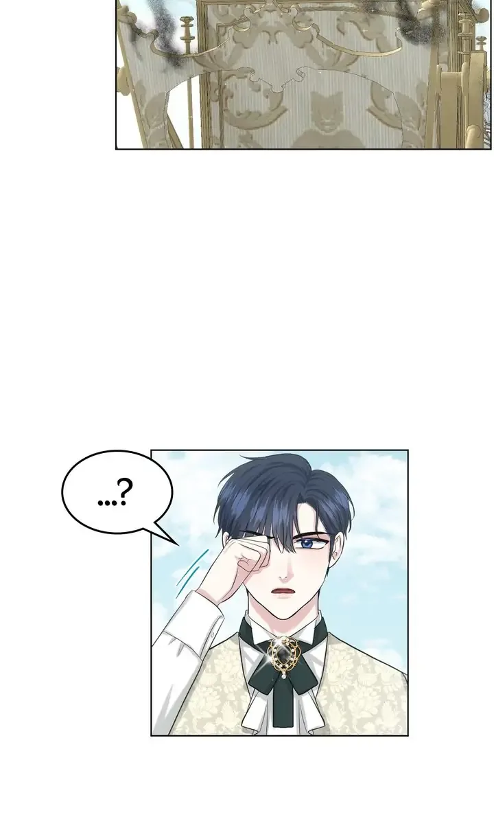 How to Get Rid of My Dark Past Chapter 48 page 67