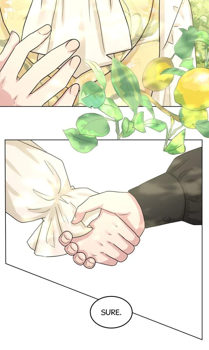 How to Get Rid of My Dark Past Chapter 62 page 74