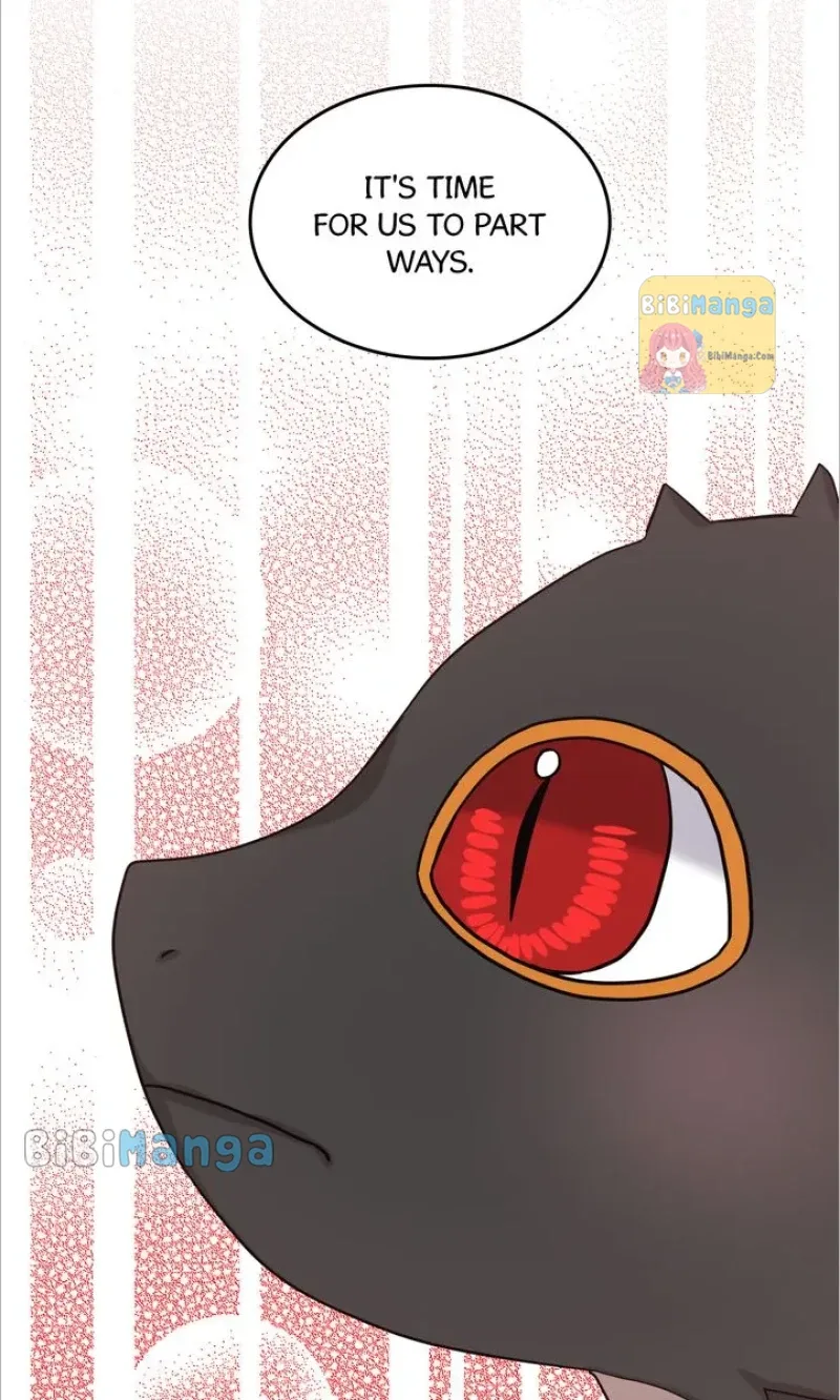 How to Get Rid of My Dark Past Chapter 80 page 77